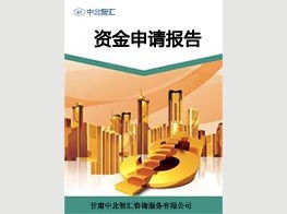 蘭州專業的項目建議書撰寫公司及甘肅信息咨詢服務推薦